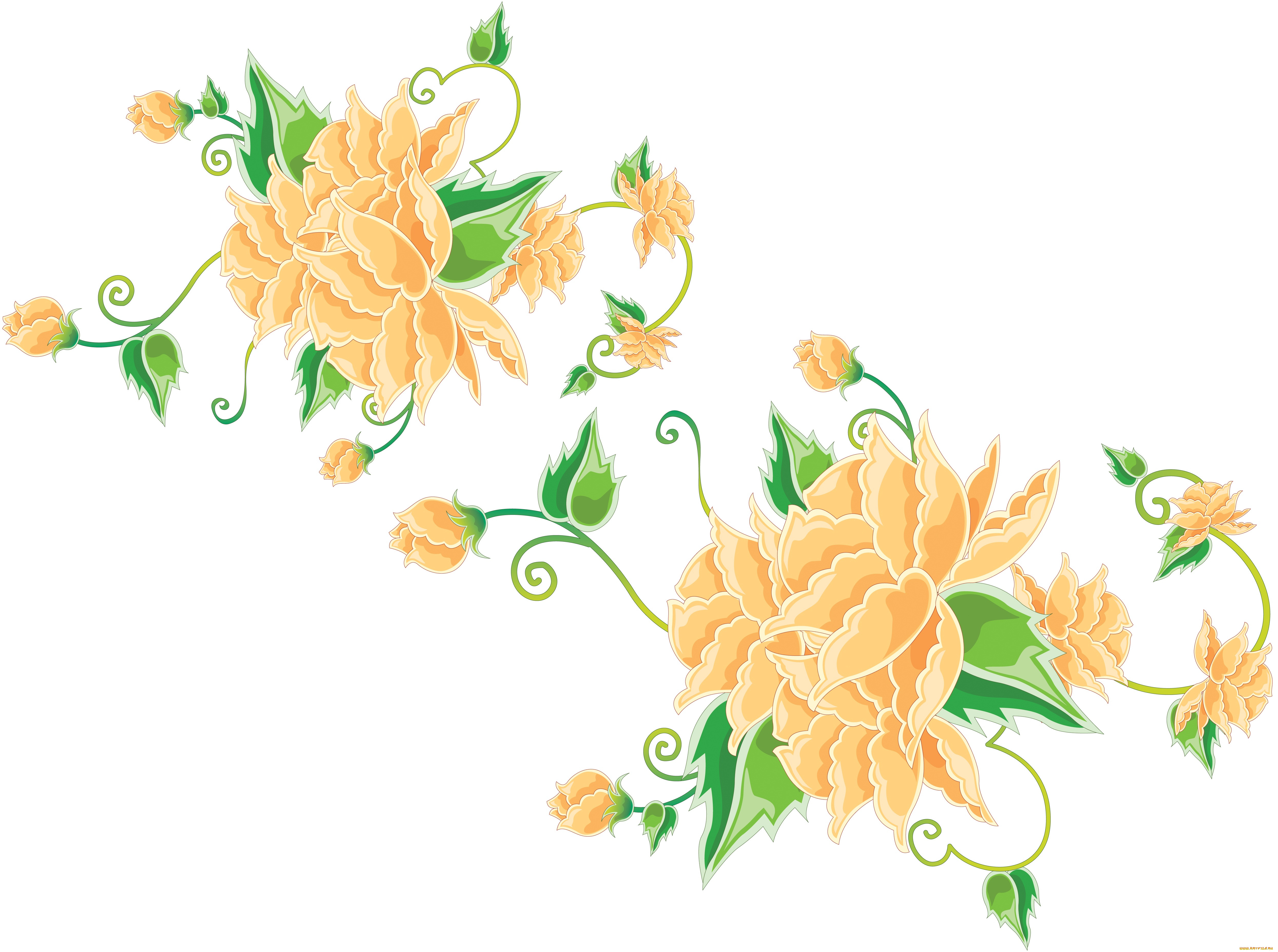  ,  , flowers, , 